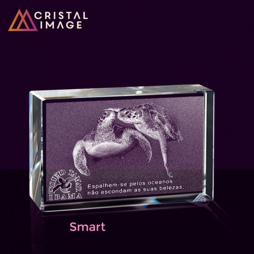 escultura de cristal, placa de cristal - Bloco Peso Jornal Modelo Smart