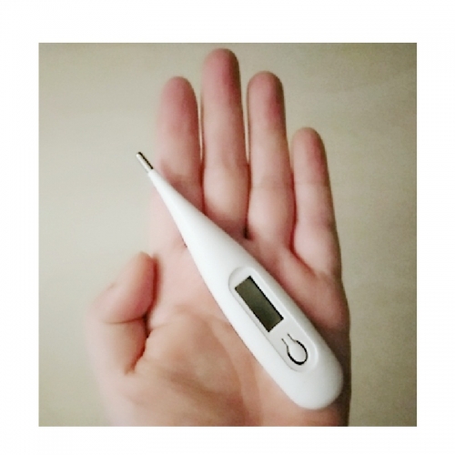 medicina - mini Termômetro Digital