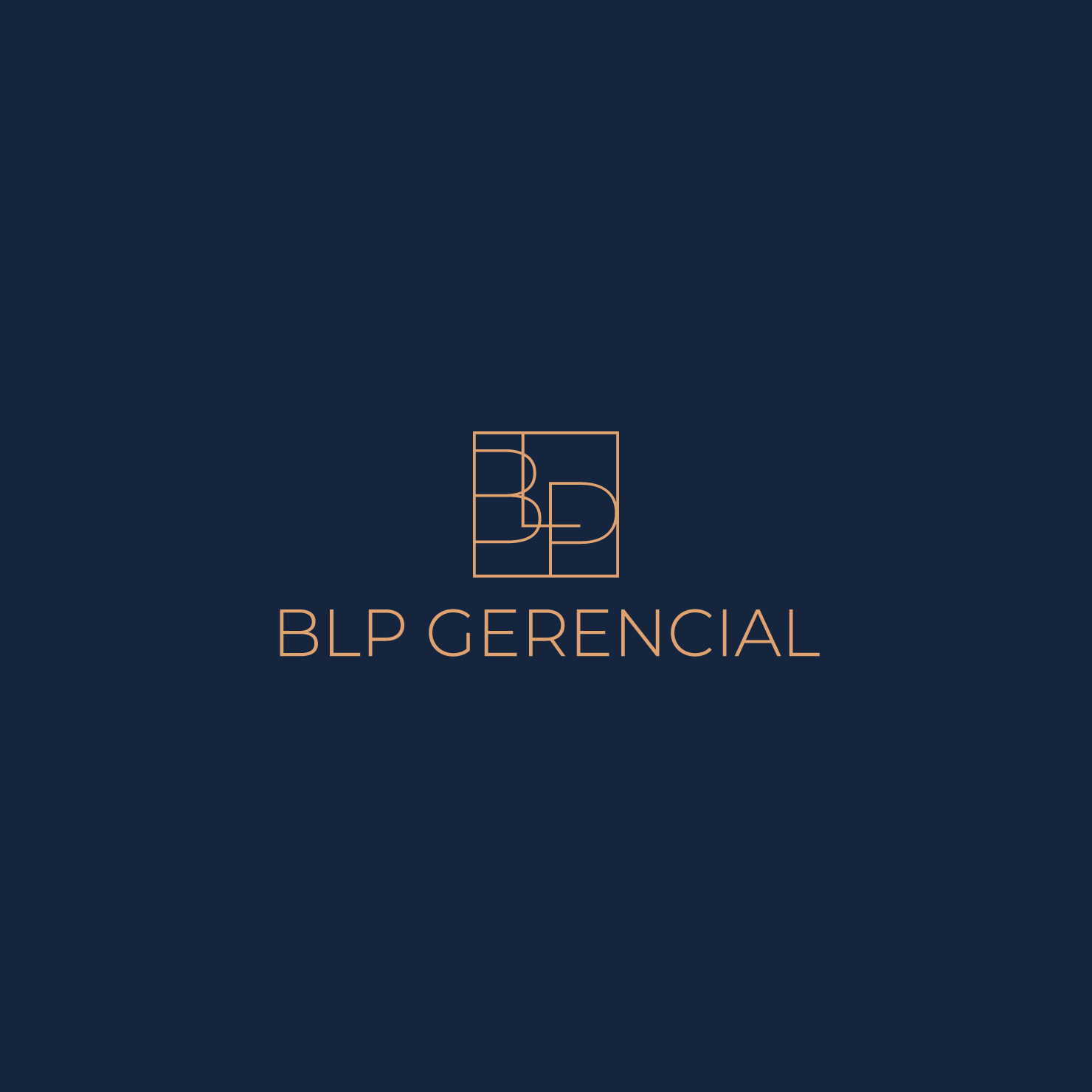 BLP GERENCIAL